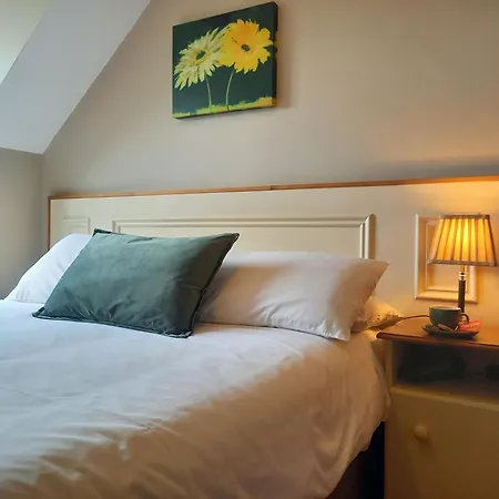 Ashfield House Failte Ireland Approved Bed And Breakfast-2